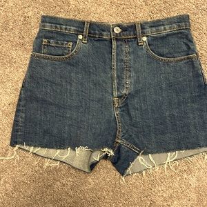 EVERLANE Cheeky Short NWOT